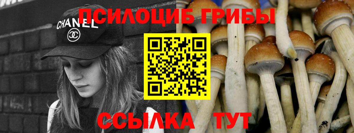 Славгород  Псилоцибиновые грибы Psilocybine cubensis  где продают наркотики  Вход с VPN 